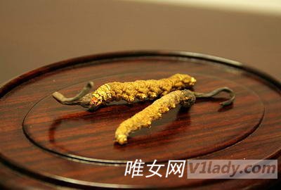 冬虫夏草有哪些功效与作用及食用方法